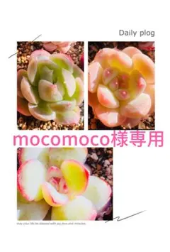 mocomoco様 専用リクエスト 3点 まとめ商品