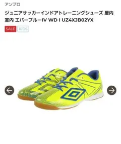umbro フットサルシューズ トレーニングシューズ　室内用　21.5㎝