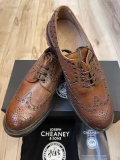 Item thumbnail for item bb080a5f-948e-48c1-86c4-a93ad117eab2