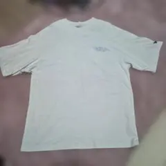 NEW ERA グラフィックTシャツ Lサイズのサムネイル