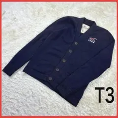 送料無料！ ホリスター レアカラー デカロゴ 厚手 ニット カーディガン 可愛い