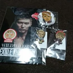 EXILE SECOND SHOKICHI  マスク クリーナー 缶バッチ