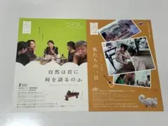 映画　チラシ　フライヤー