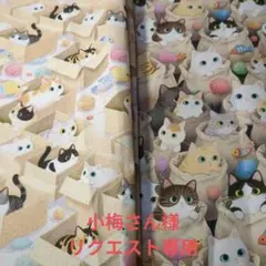 小梅さん様…専用…ペタンコポーチ…段ボール猫ちゃん 袋の猫ちゃん