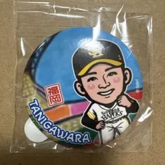 福岡ソフトバンクホークス 若鷹ガチャ タカコレ tvq 缶バッジ 1 柳町達