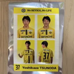 柏レイソル 戸嶋祥郎 選手 証明写真 - メルカリ