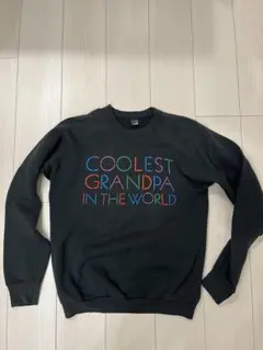 vintage SCREEN STARS スウェット made in usaのサムネイル