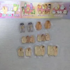 マーモット　シールセット