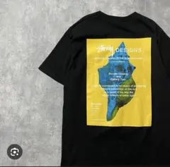 STUSSY Modern Leaders Tee ブラック