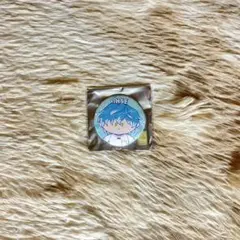【美品】カリスマ湊大瀬缶バッジ