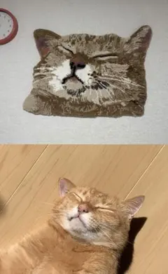 ALD1 サンウォン 猫 クッション - メルカリ
