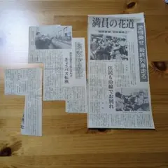 Item thumbnail for item 6c6da73d-b027-40cc-a1cf-8e8a0b16c336