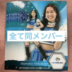 BBM チアリーダー 2026 FIGHTERS GIRL 水落桃子