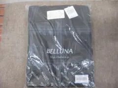 Item thumbnail for item 7fae0337-671b-4c60-85e0-f40b2daadf28