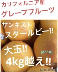 グレープフルーツ　スタールビーのサムネイル