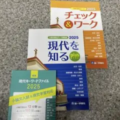 小論文頻出テーマ&現代文キーワード３冊セット新品
