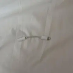 Apple純正　iPad, iPhone用イヤホン変換アダプター