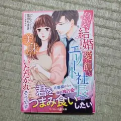 だって、君は俺の妻だから～クールな御曹司は雇われ妻を生涯愛し抜く 