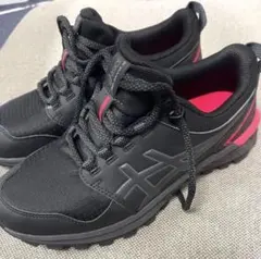 asics アシックス　スニーカー　25センチ　⭐︎美品⭐︎