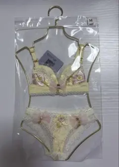 DD（M胸）ドール用ランジェリー（ディーラー様製）