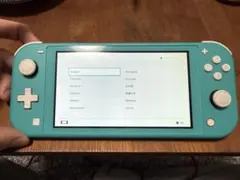 【動作不具合なし・充電器付】Nintendo Switch Lite