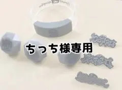 ちっち様専用ページ