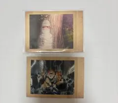 【即購入可】鬼滅の刃 我妻善逸 ぱしゃこれ