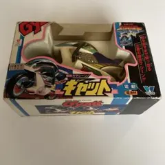 Item thumbnail for item c25fd85c-30a3-4f59-82c5-4488e0a317aa