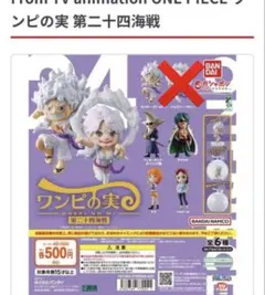 ワンピの実　5個