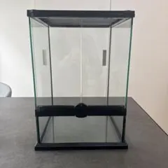 2026年最新】レインフォレストタンクの人気アイテム - メルカリ