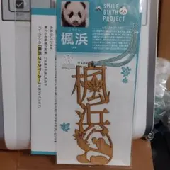 Item thumbnail for item 40c44e54-6a9a-4fce-86ab-e0746c478ac5