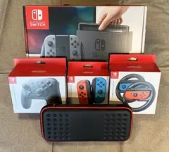 Nintendo Switch 周辺機器セット