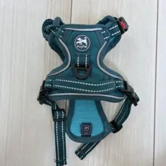 Item thumbnail for item 9cb9b96d-fed4-4151-9911-0e01407cff4d