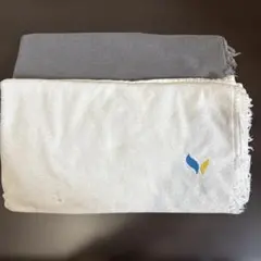 Item thumbnail for item 162251a8-a5f1-44f1-8d8c-b0b1ea44b9d9