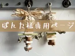 バードトイ　ソラボール　固ーいオモチャ　ぽんた様専用ページ