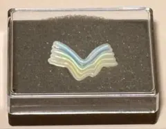 関西万博クウェート館　レア　ピンバッジケース付