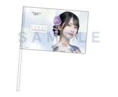 メガネ様 リクエスト 2点 まとめ商品