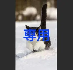 ゆとゆと様専用