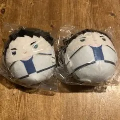 ハイキュー!! 赤葦京治 ふわコロりんspecial