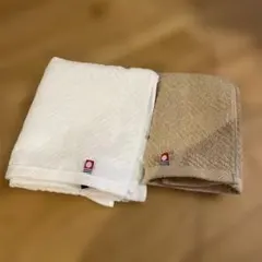 Item thumbnail for item 1569981a-e976-4d28-83c7-e766ca03b05d