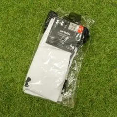 Item thumbnail for item d8473fe4-7e4b-4379-b2f6-3945f3ceea59