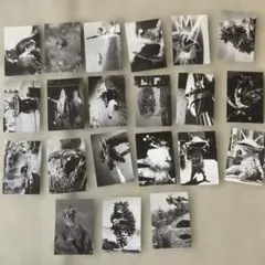 ウルトラQスナックカード21枚セット