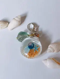 ハンドメイド レジン 3点セット本物貝殻 クラゲ 海 キーホルダー 夏 001