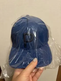 Item thumbnail for item 0759dd20-e7cc-47f6-b45f-7125c555a78c