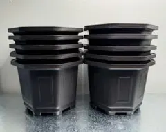 新品　台湾八角鉢　5寸　　Agave鉢　50個 新品 台湾八角鉢 5寸 Agave鉢 50個 新品 台湾八角鉢 5寸 Agave鉢