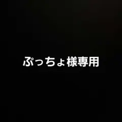 ぷっちょ様専用(値段変更済み)