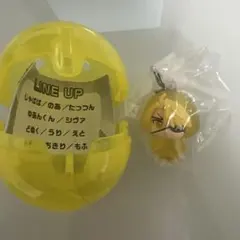 即購入OK たっつん　カラピチ　めじるしアクセサリー