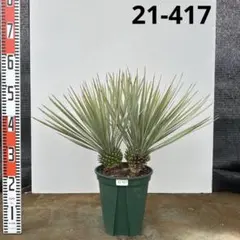 tobox様 リクエスト 4点 まとめ商品