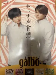 明治 galbo クリアファイル　ふまけん