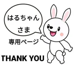 はるちゃん様 リクエスト 3点 まとめ商品